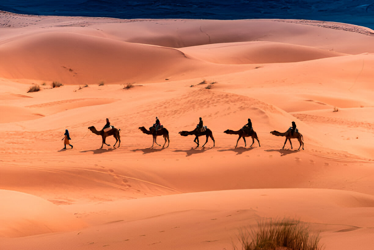 Camel ride experience in Sahara Desert Morocco for travelers and adventure tours
